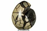 Septarian Dragon Egg Geode - Black & Brown Crystals #183078-1
